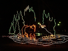 062 Toledo Zoo Light Show [2008 Dec 27]